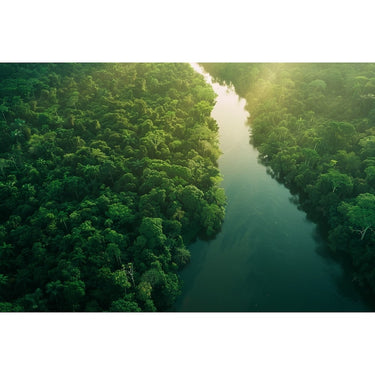 Tableau de Forêt Amazonienne